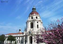 pasadena1.jpg
